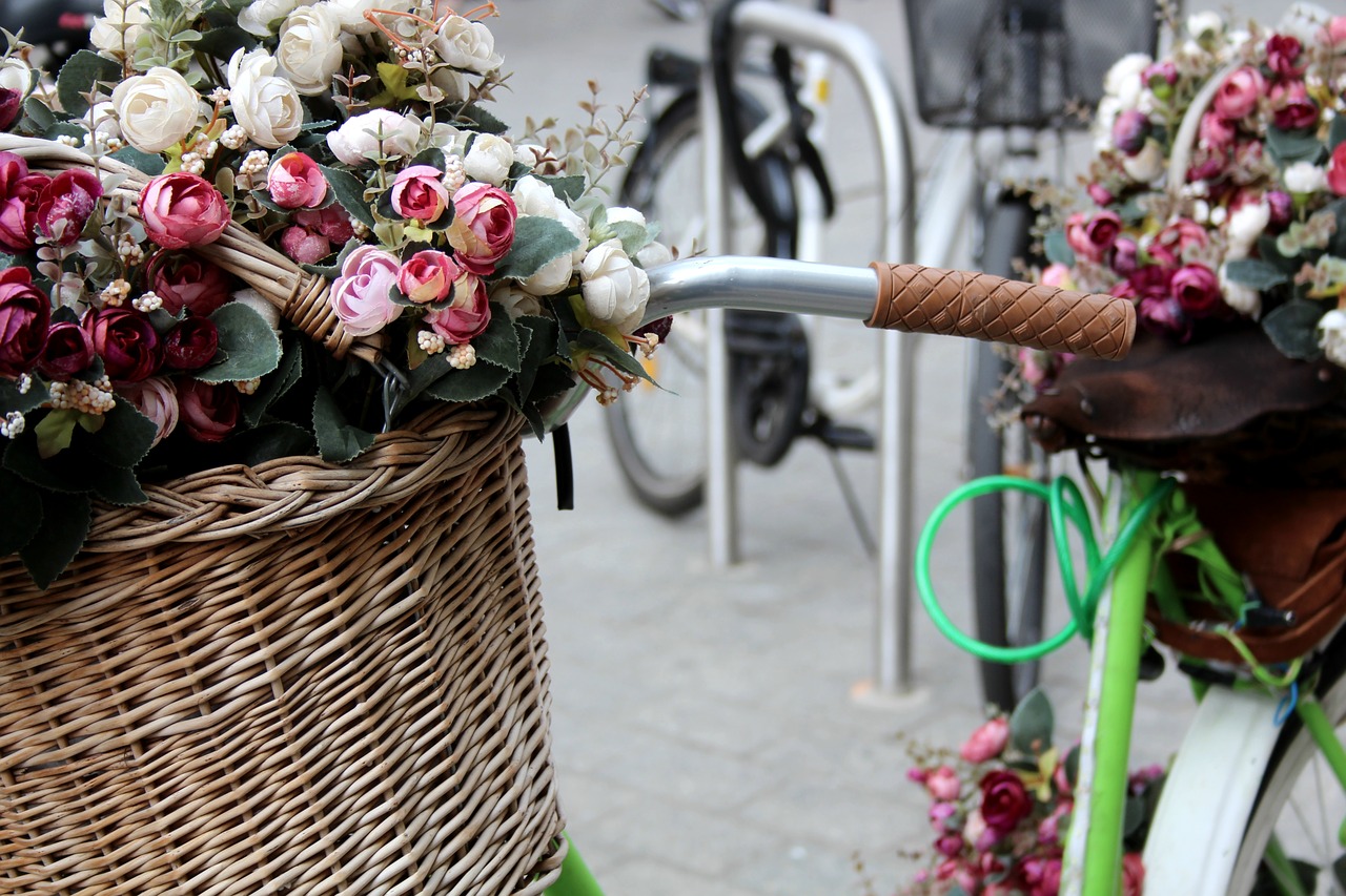 krakow flowers bicycle free photo