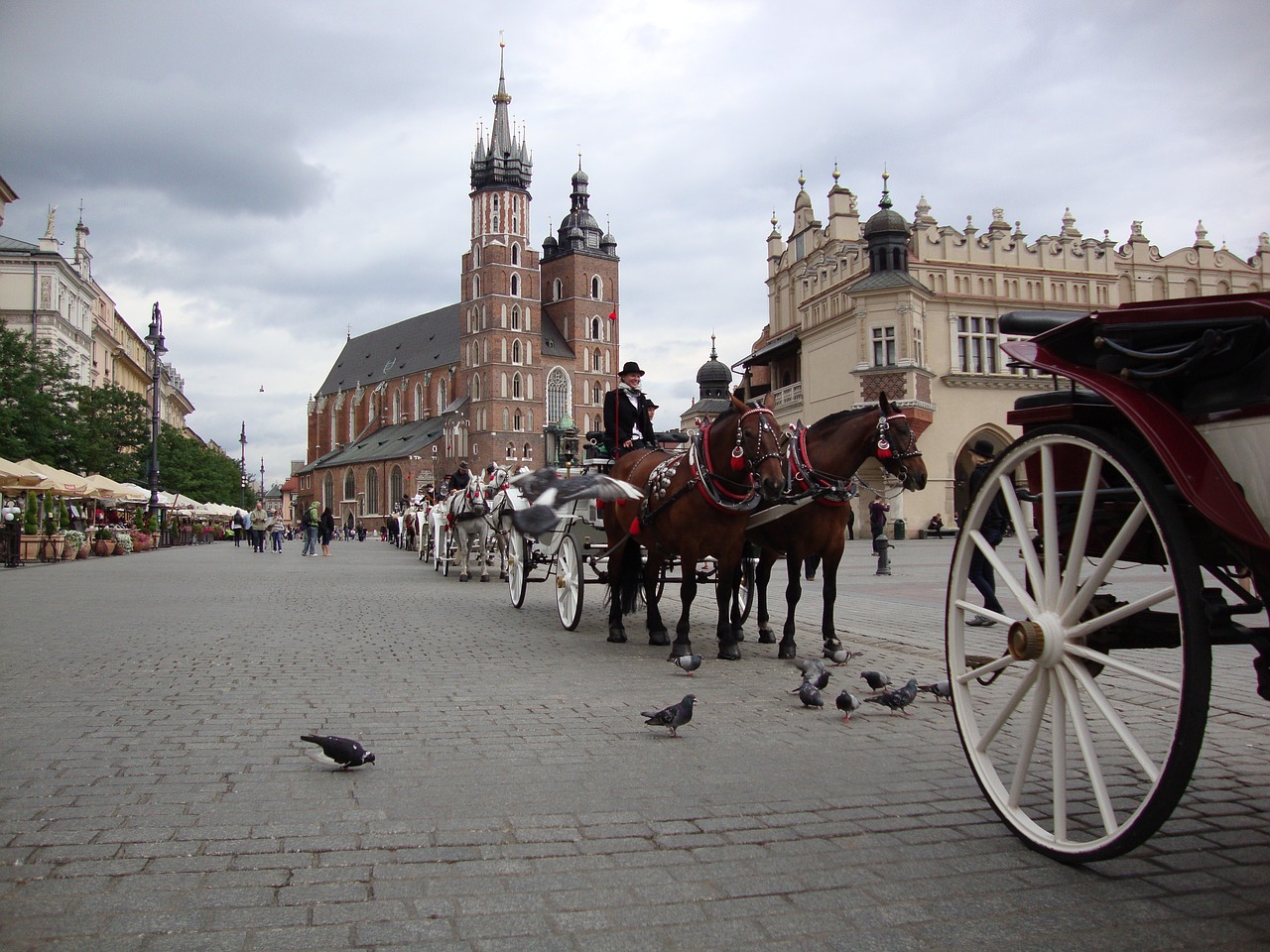 kraków poland the old town free photo