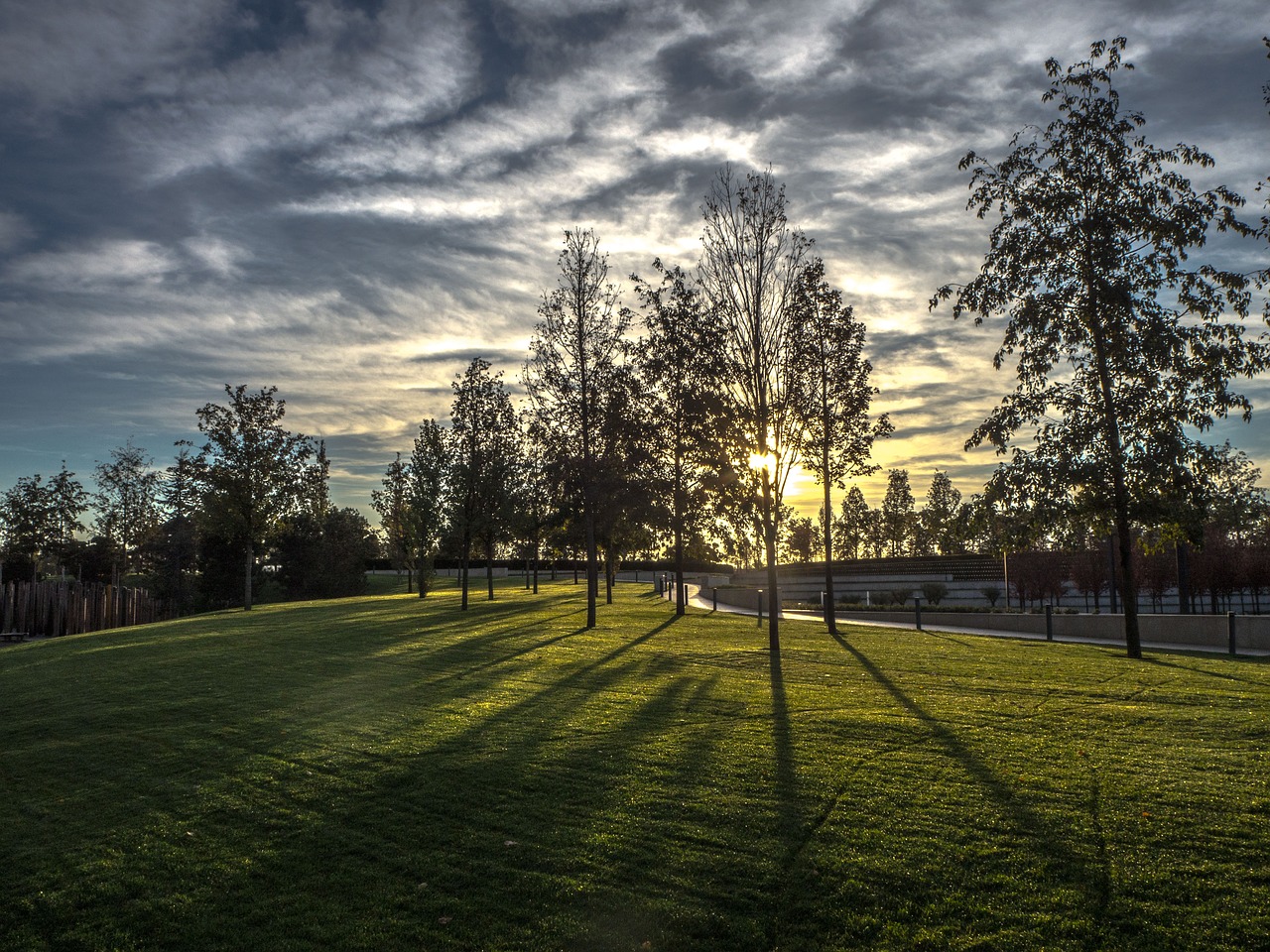 krasnodar  park  dawn free photo