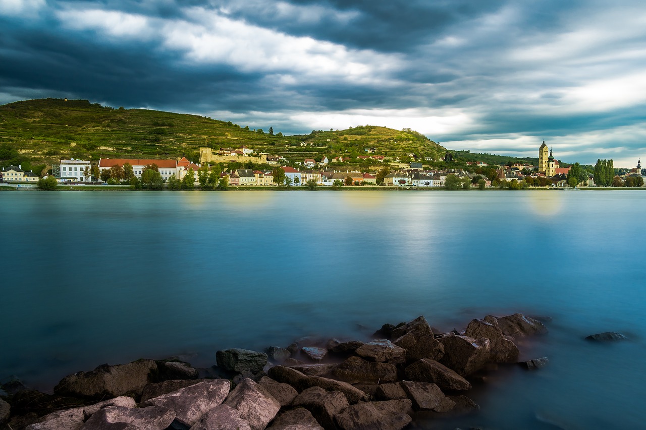 krems danube vineyard free photo