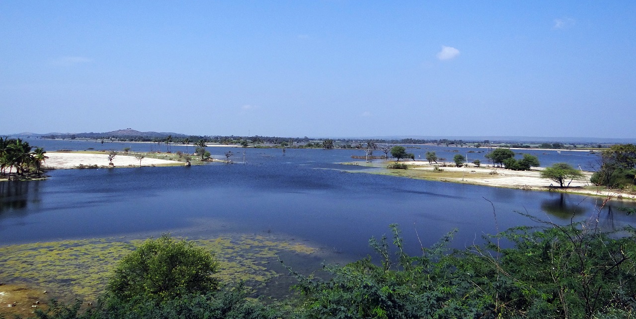krishna river backwaters free photo