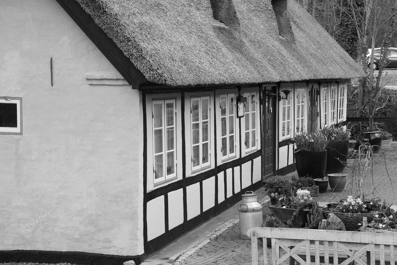 kro thatched black and white free photo