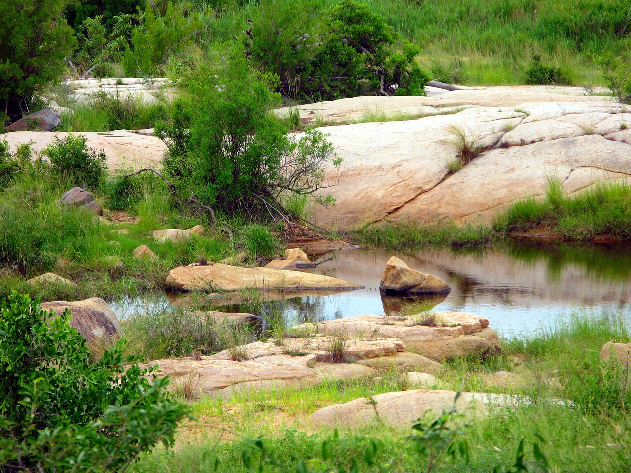kruger national park pools stones free photo