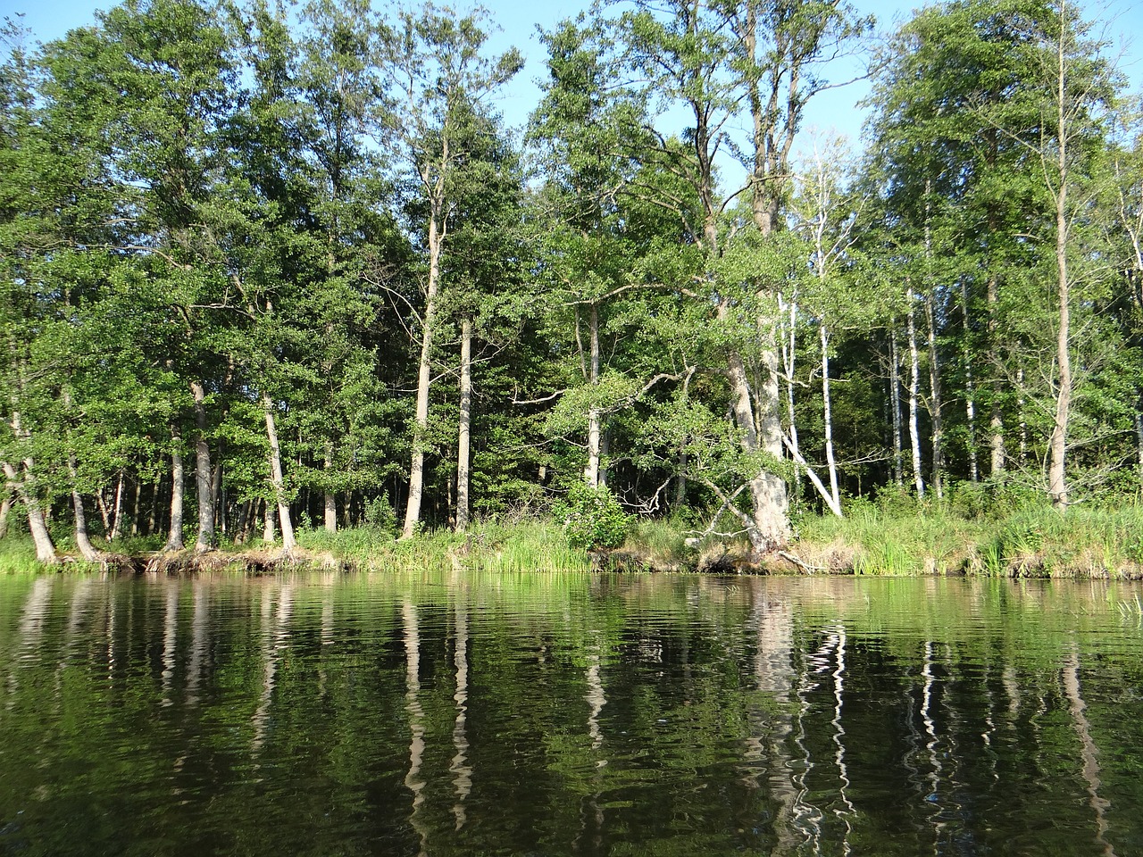 krutynia canoe trip river free photo