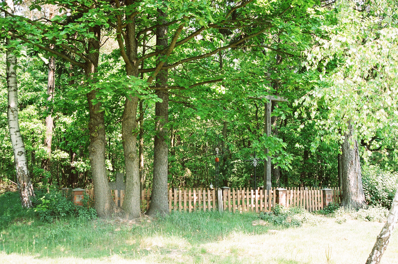 forest cemetery poland free photo