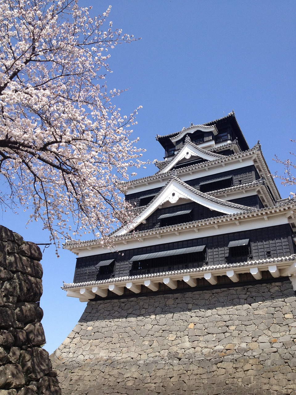 kumamoto castle spring building free photo