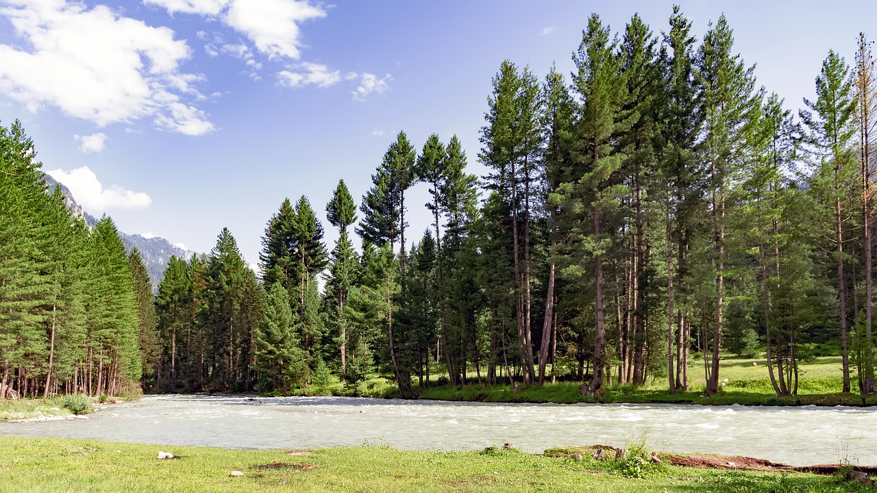 kumrat  valley  river free photo