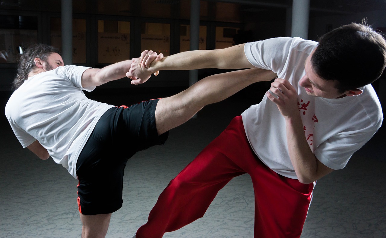 kung fu fighting martial arts free photo
