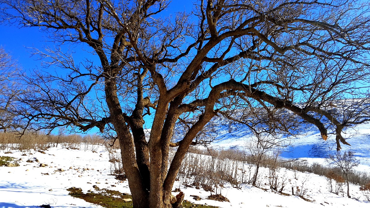 kurdistan iraq snow free photo