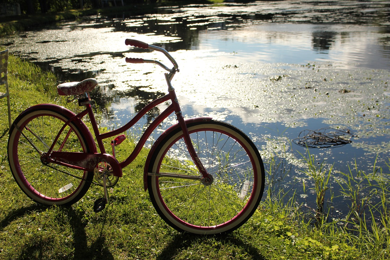 kutshers bike sunset free photo