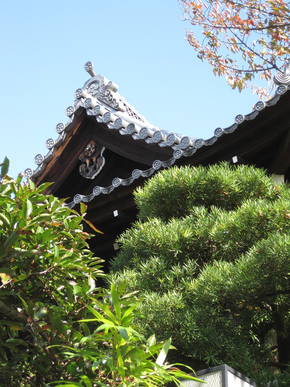 kyoto shrine roof free photo