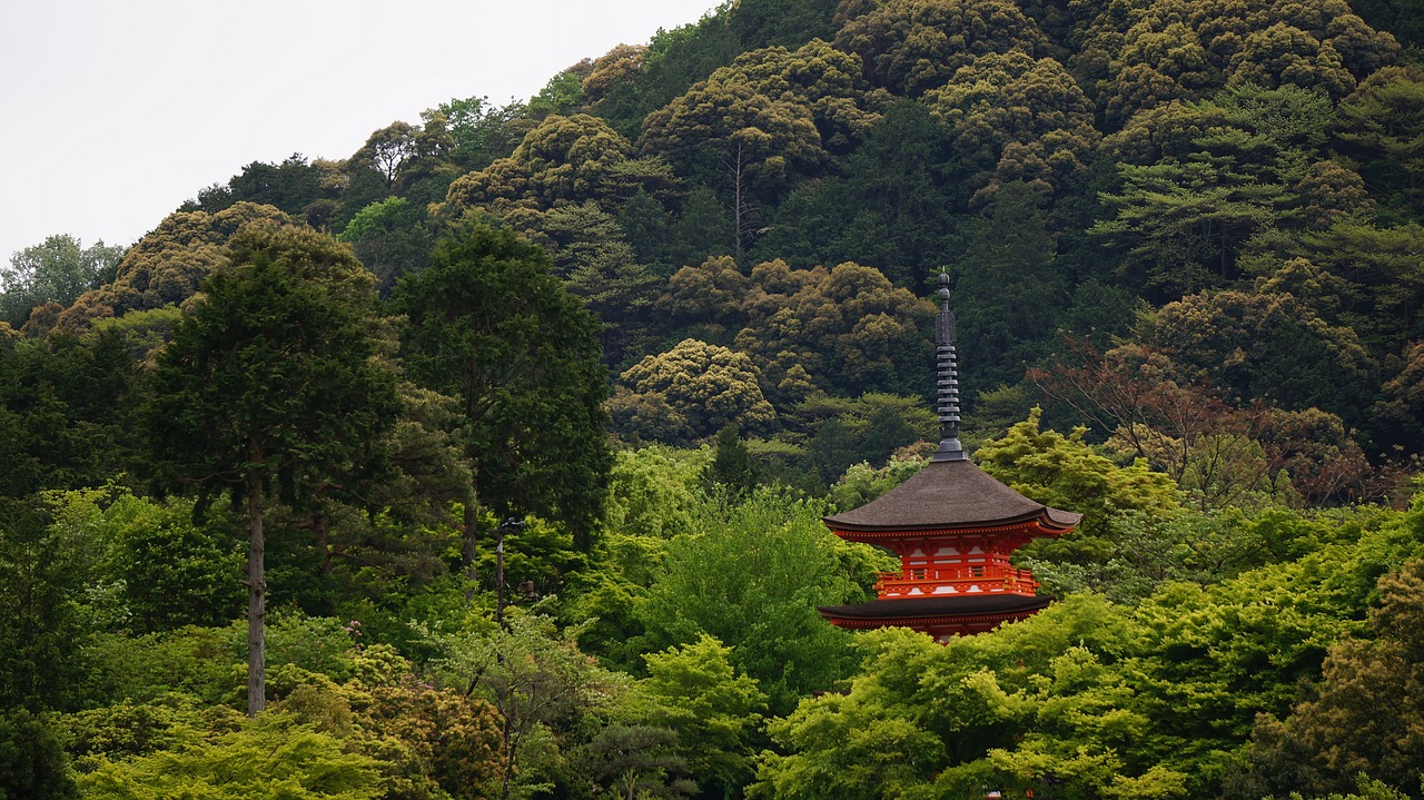 kyoto the scenery temple free photo