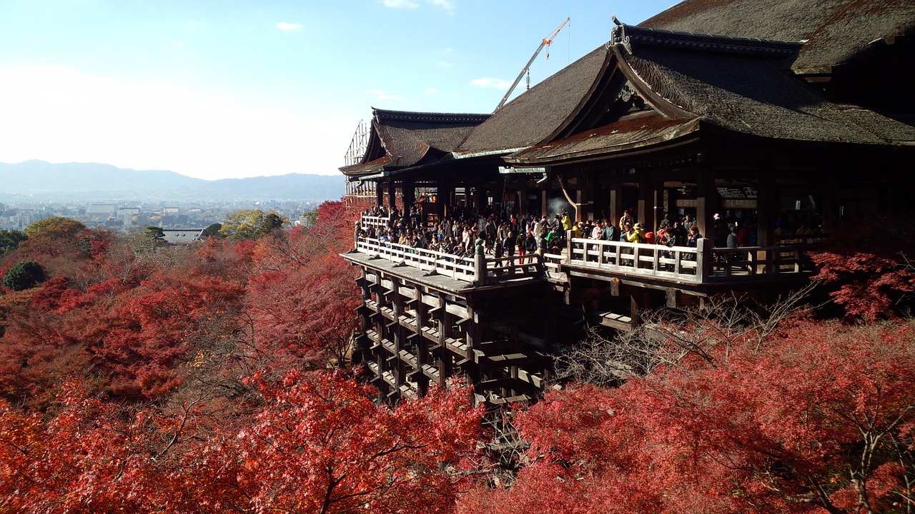 kyoto autumnal leaves tourist destination free photo