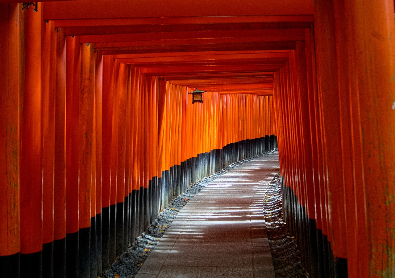 kyoto japan torii gate free photo