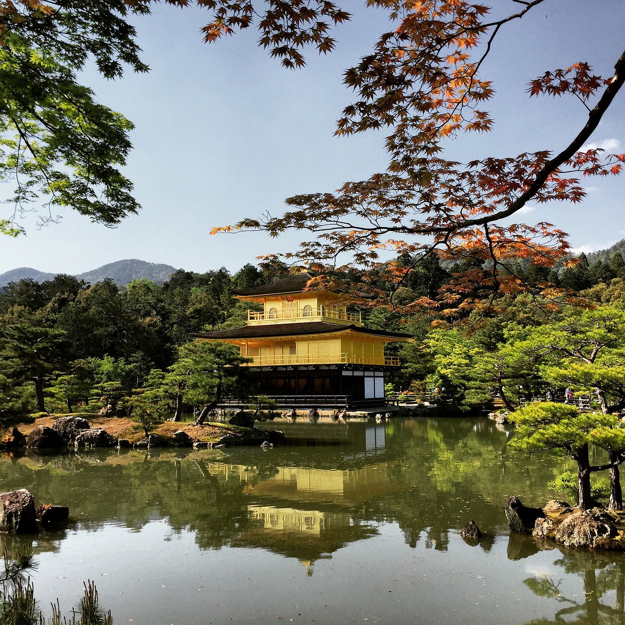 kyoto japan goldentemple free photo