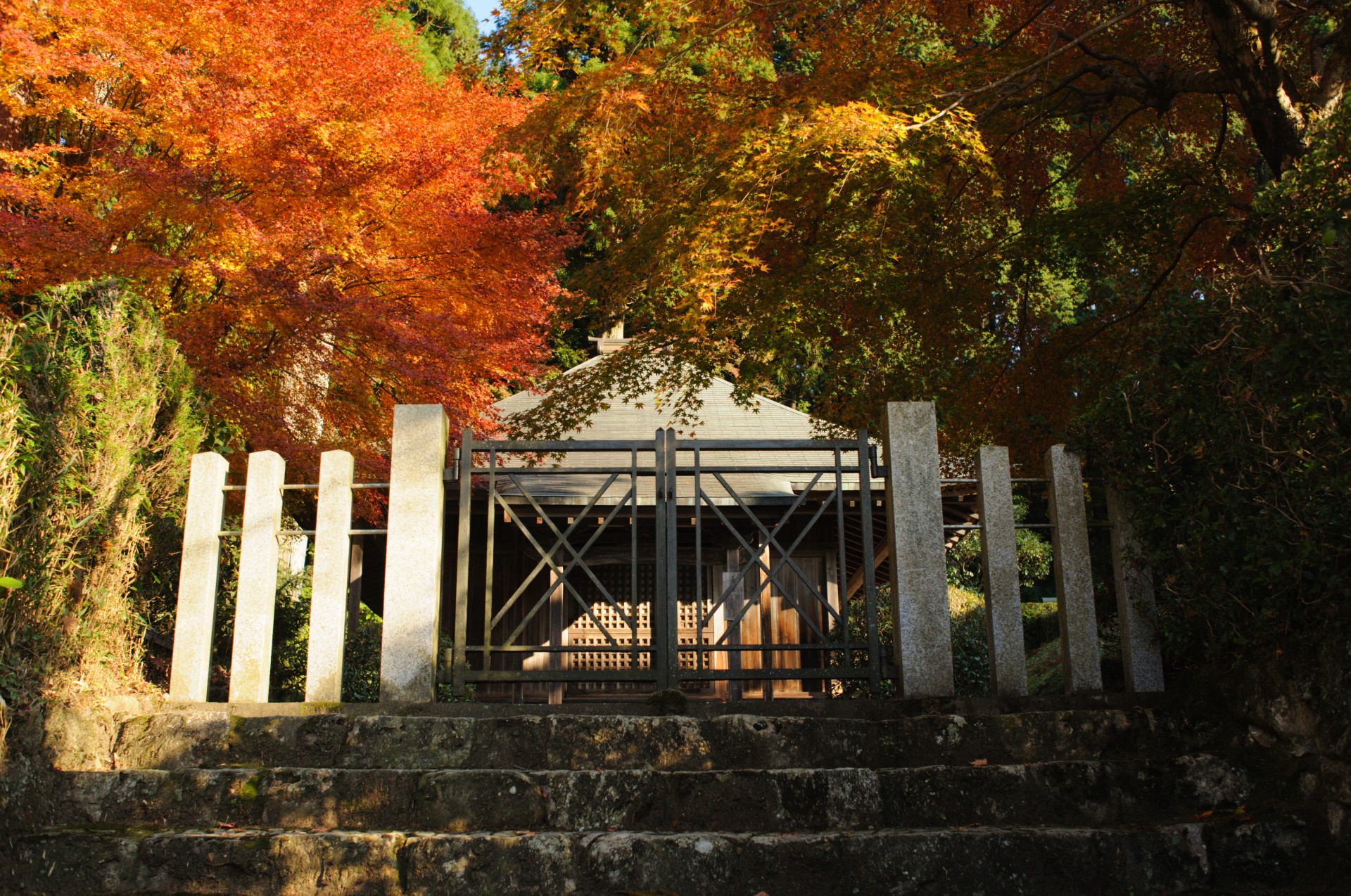 kyoto japan autumn free photo