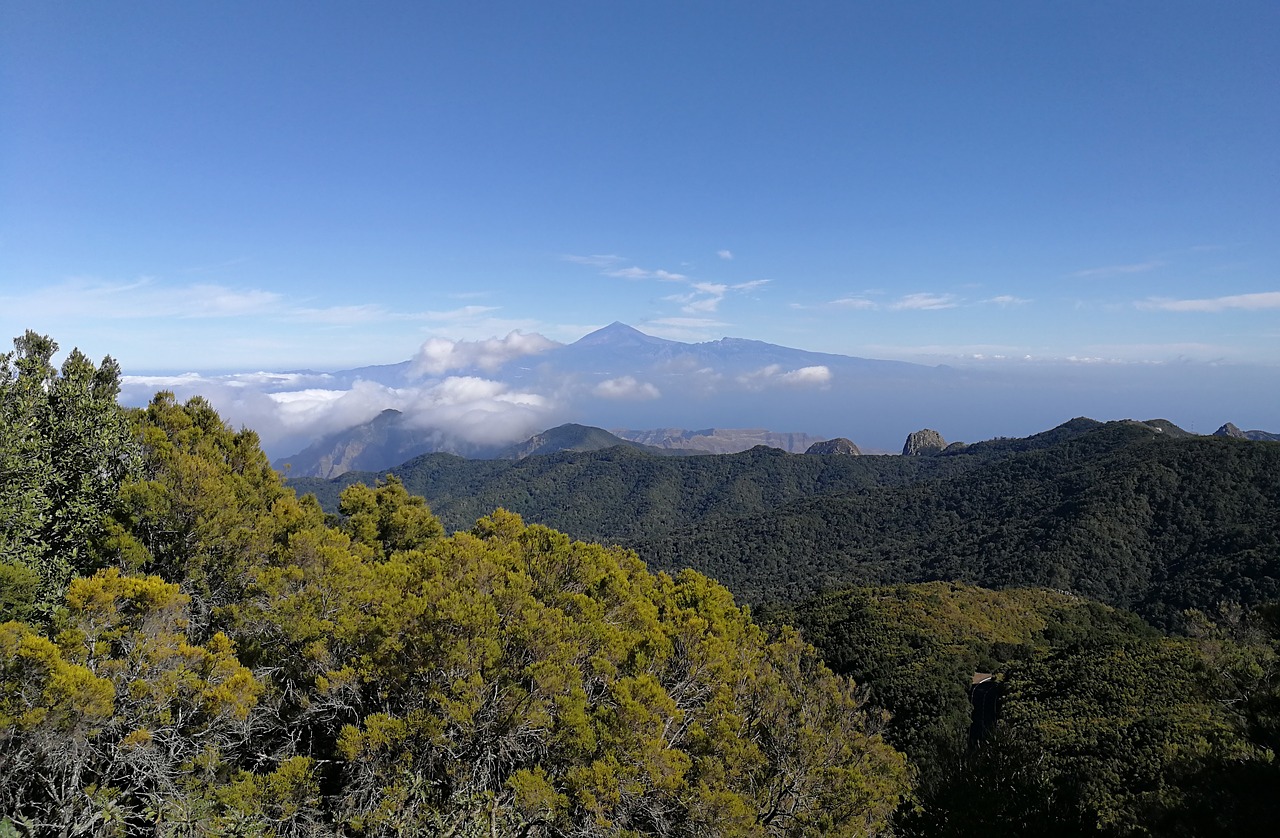 la gomera garajonay national park  top  teide free photo