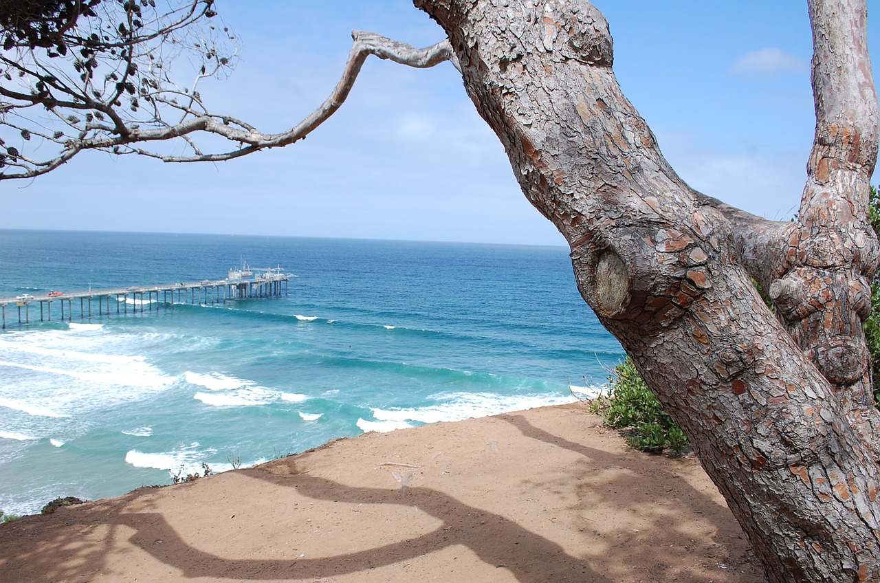 la jolla san diego beach free photo