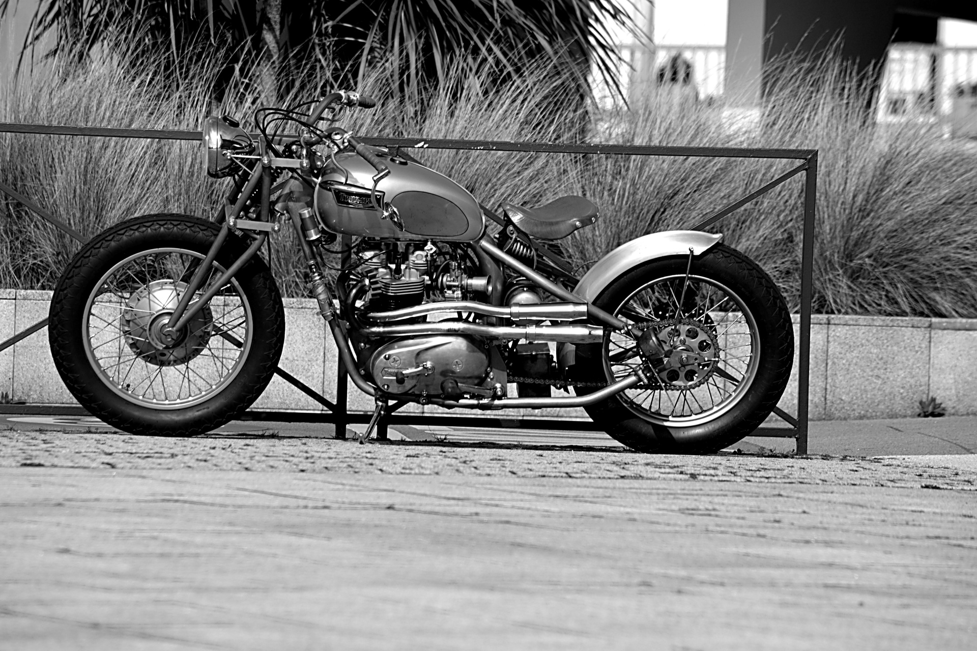 motorcycle two wheels free photo