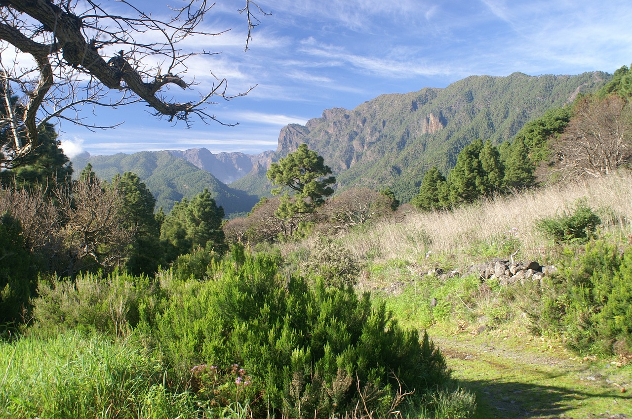 la palma nature hiking free photo