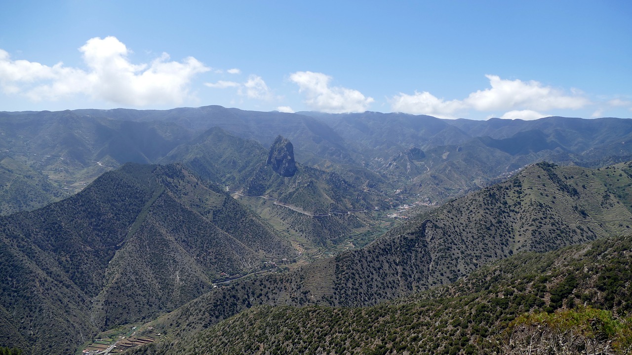 la reptiles canary island island free photo