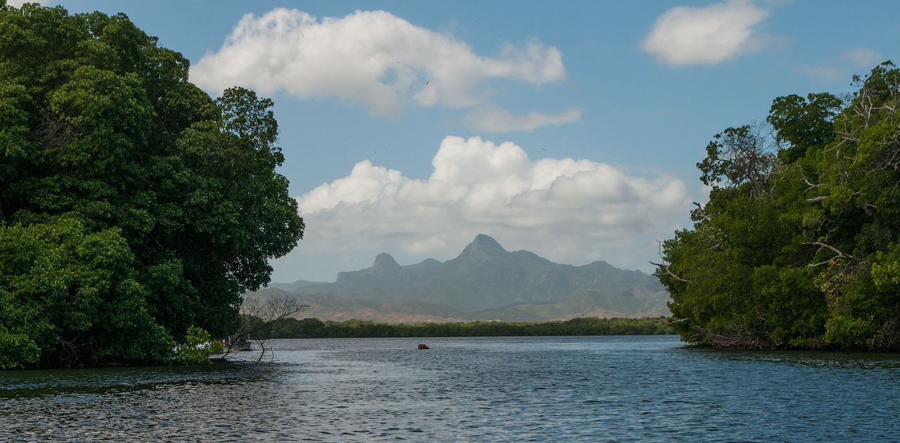 la restinga lagoon mangroves free photo