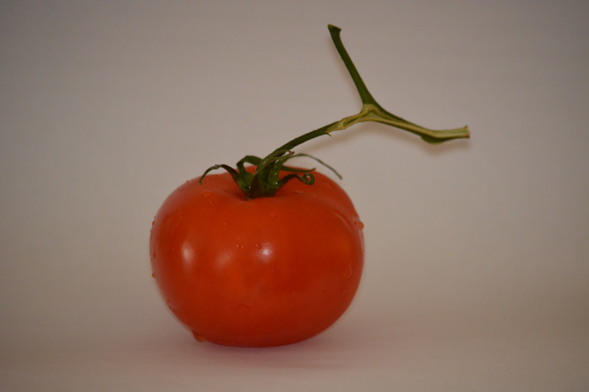 tomato red diet free photo