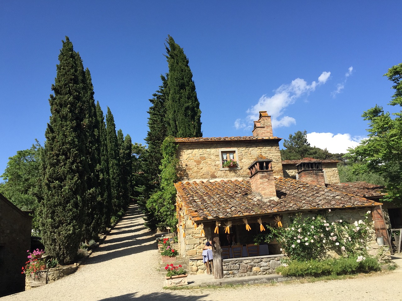 la vialla toscana cypress free photo