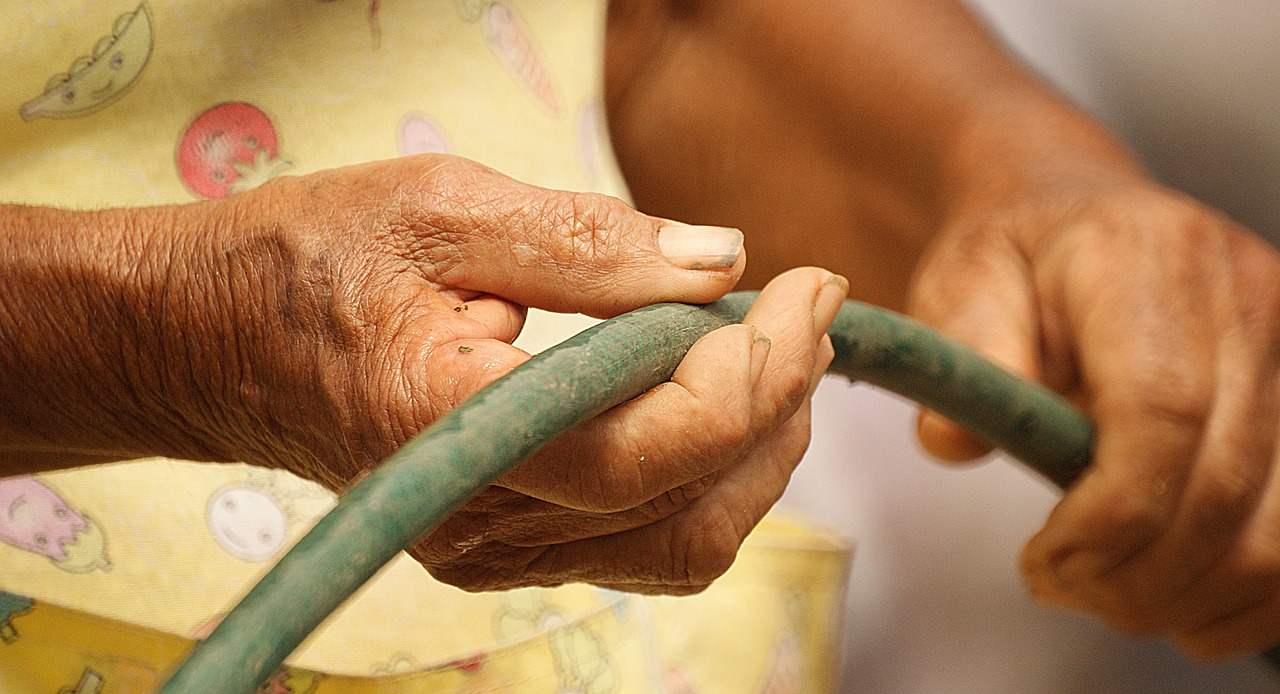laborious hands age adults free photo
