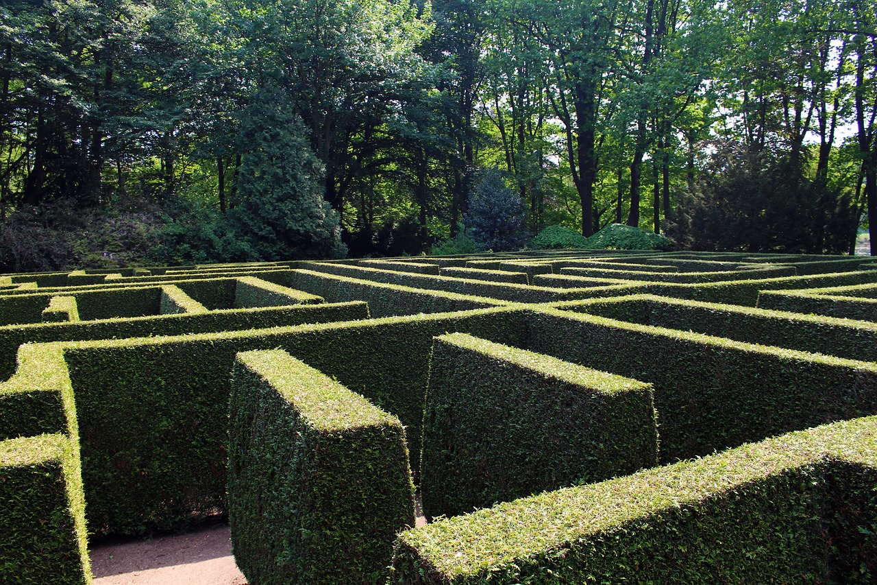labyrinth maze garden free photo