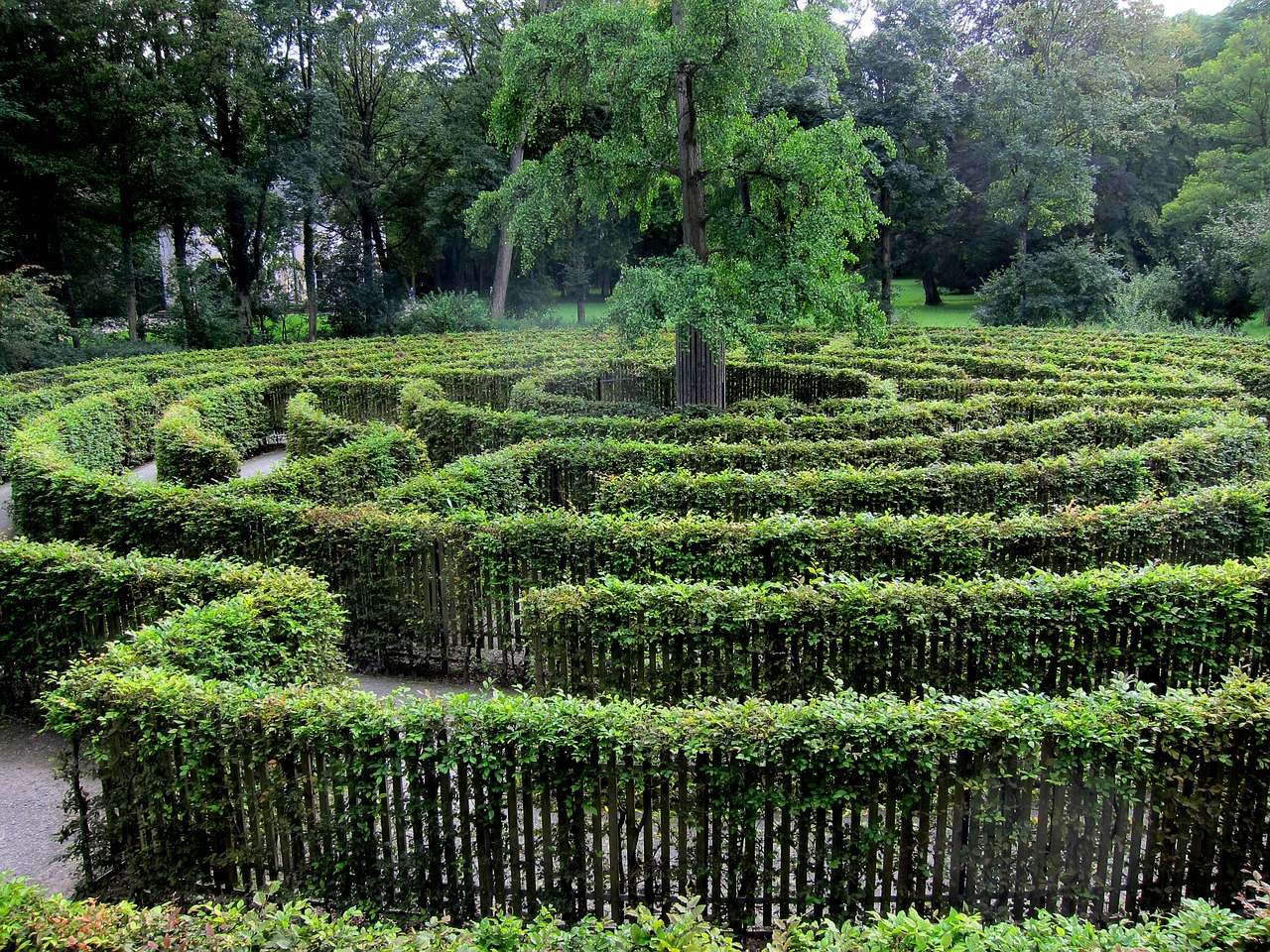 labyrinth  green  trees free photo