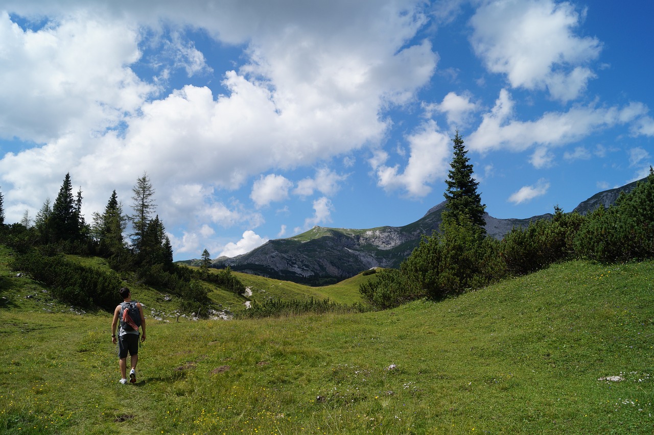 lace berges austria mountains free photo