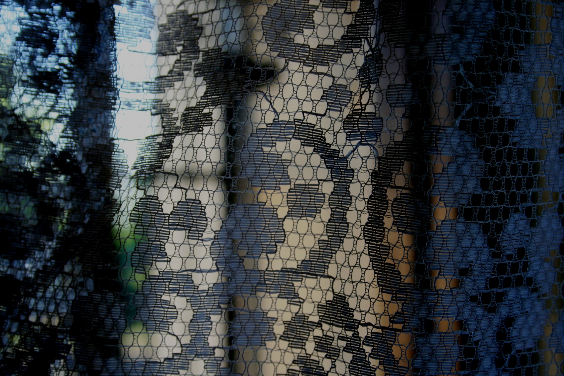 lace delicate curtain free photo