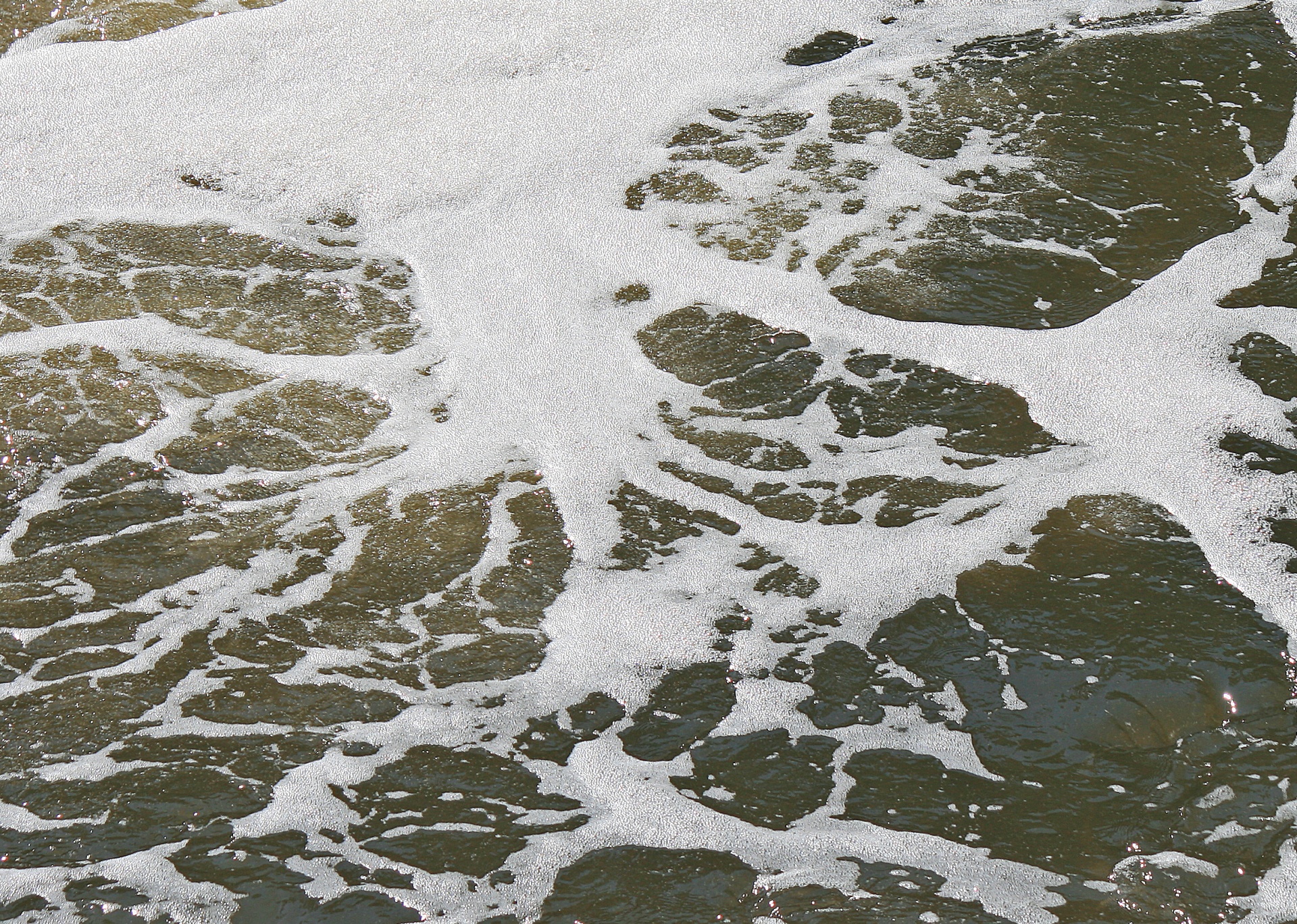 water river froth free photo