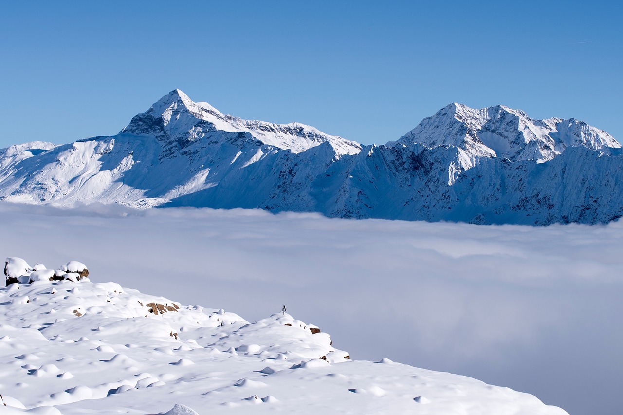 lace step snow alps free photo