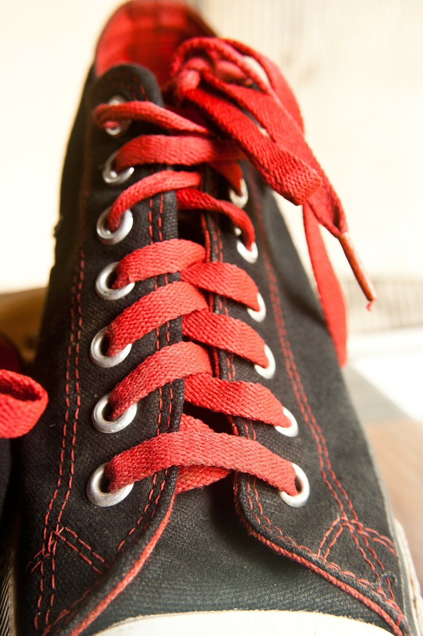laces shoe sneaker free photo