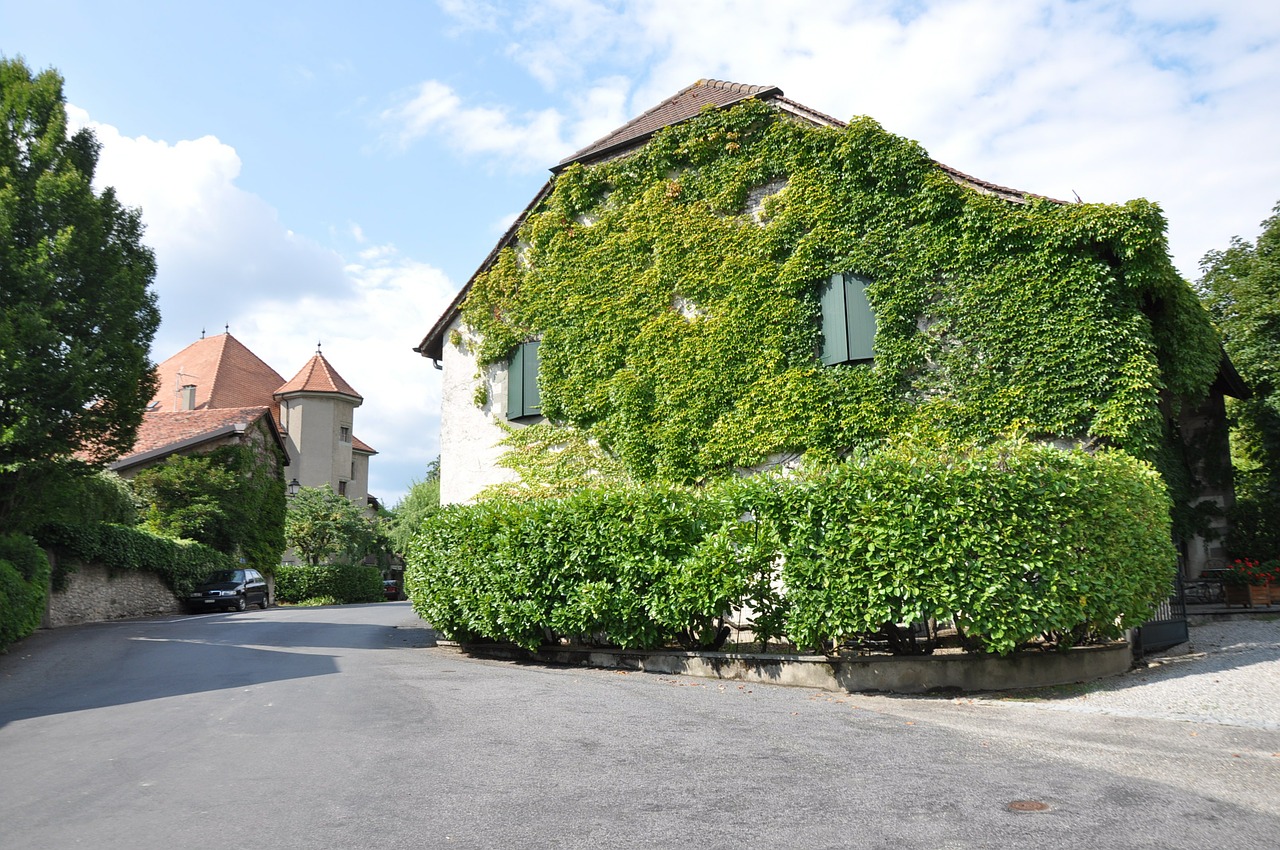 laconnex village geneva free photo