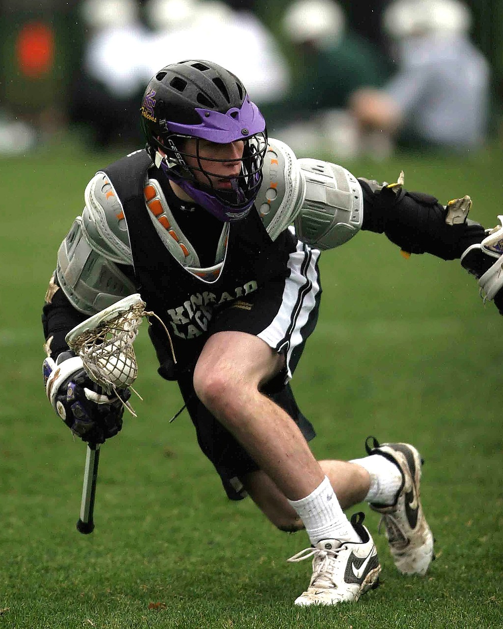 lacrosse lax sport free photo