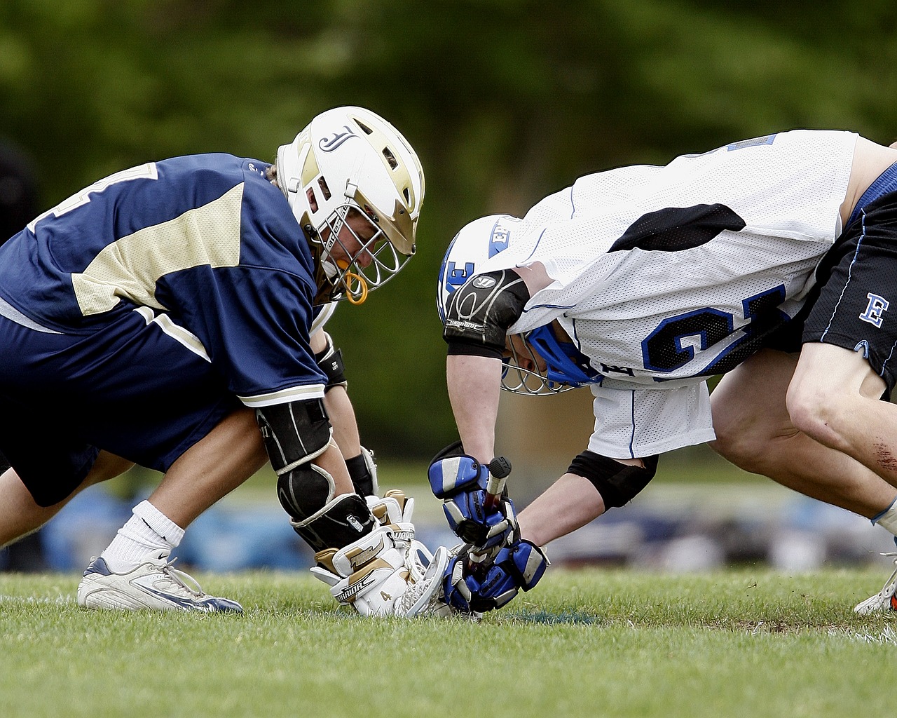 lacrosse player action free photo