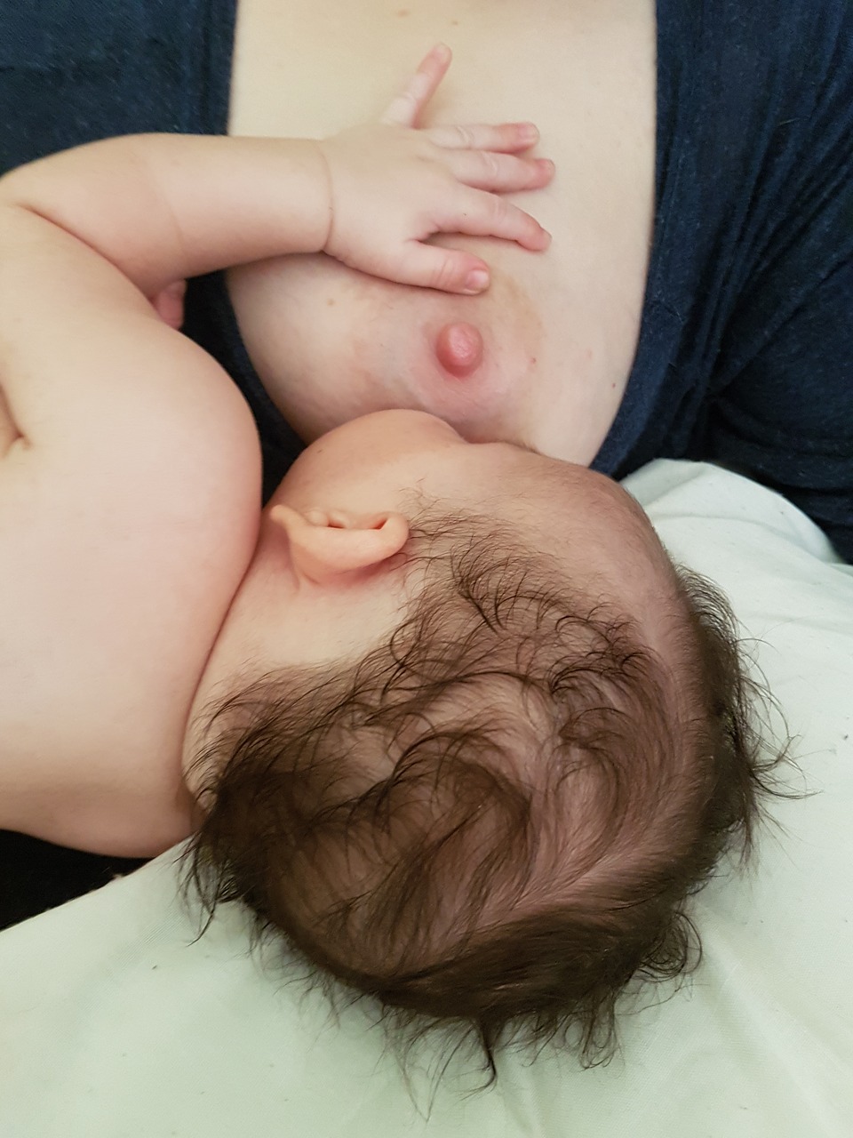 lactation bebe tit free photo