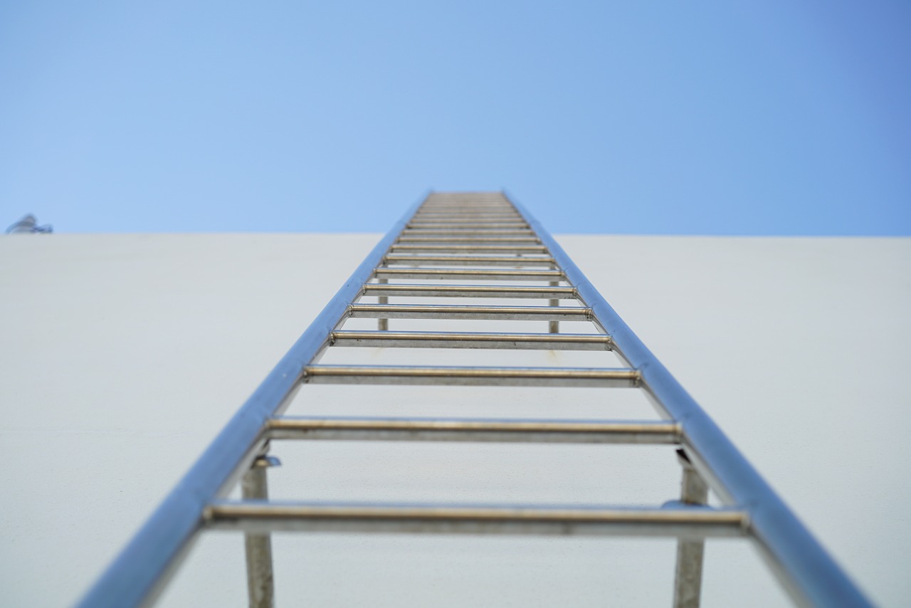 ladder the rooftop vertical free photo