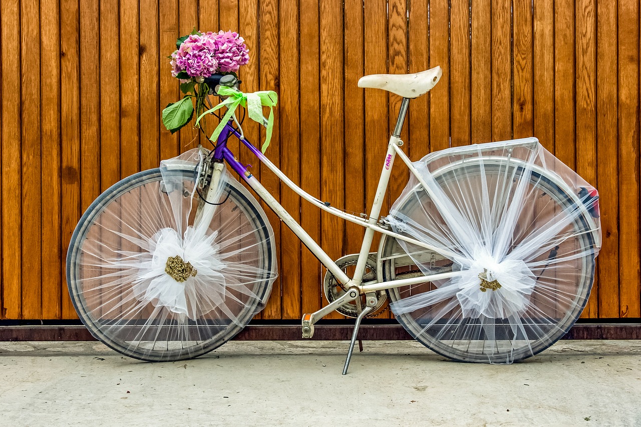 ladies bicycle girl bicycle bicycle free photo