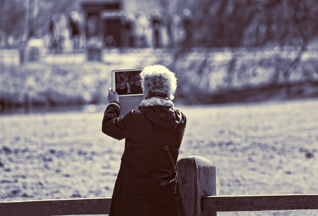lady  elderly lady  person free photo