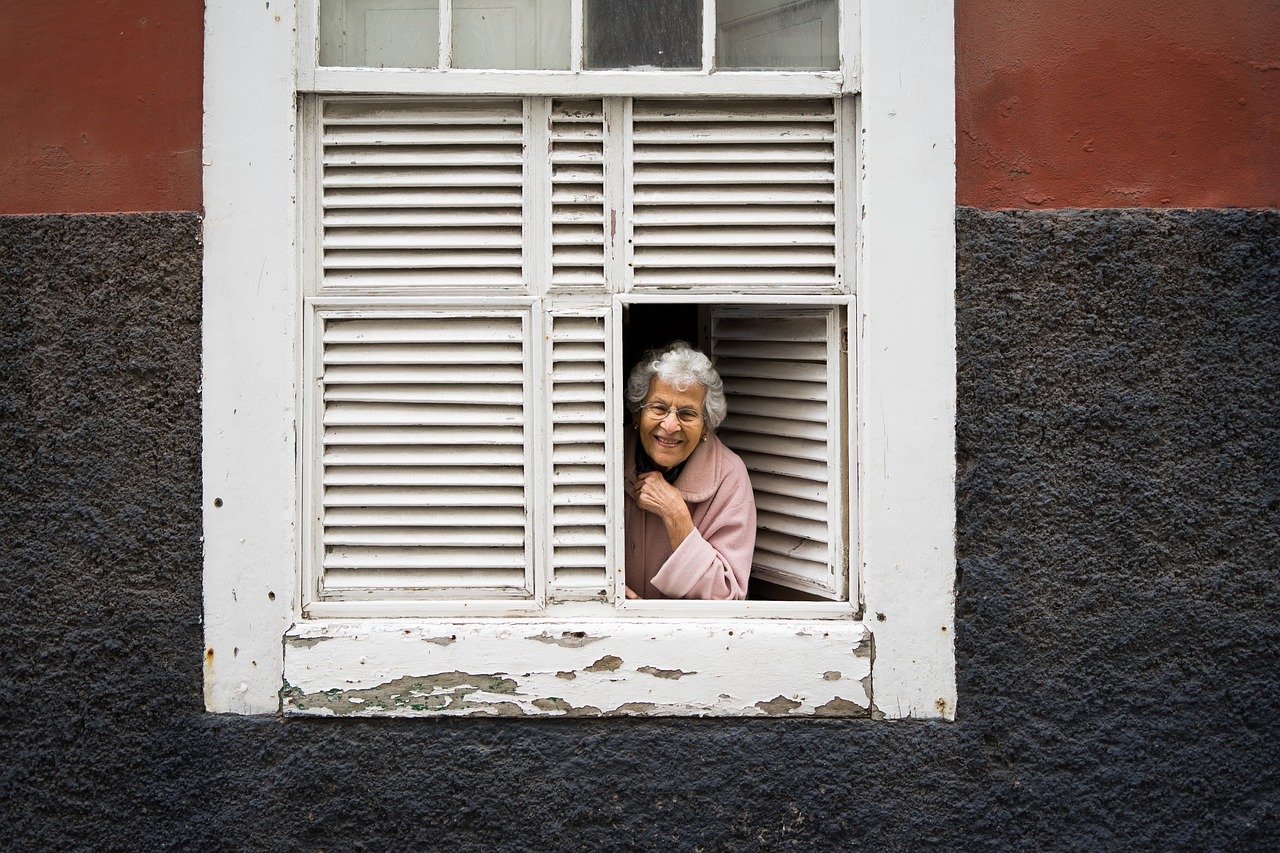 lady  window  woman free photo