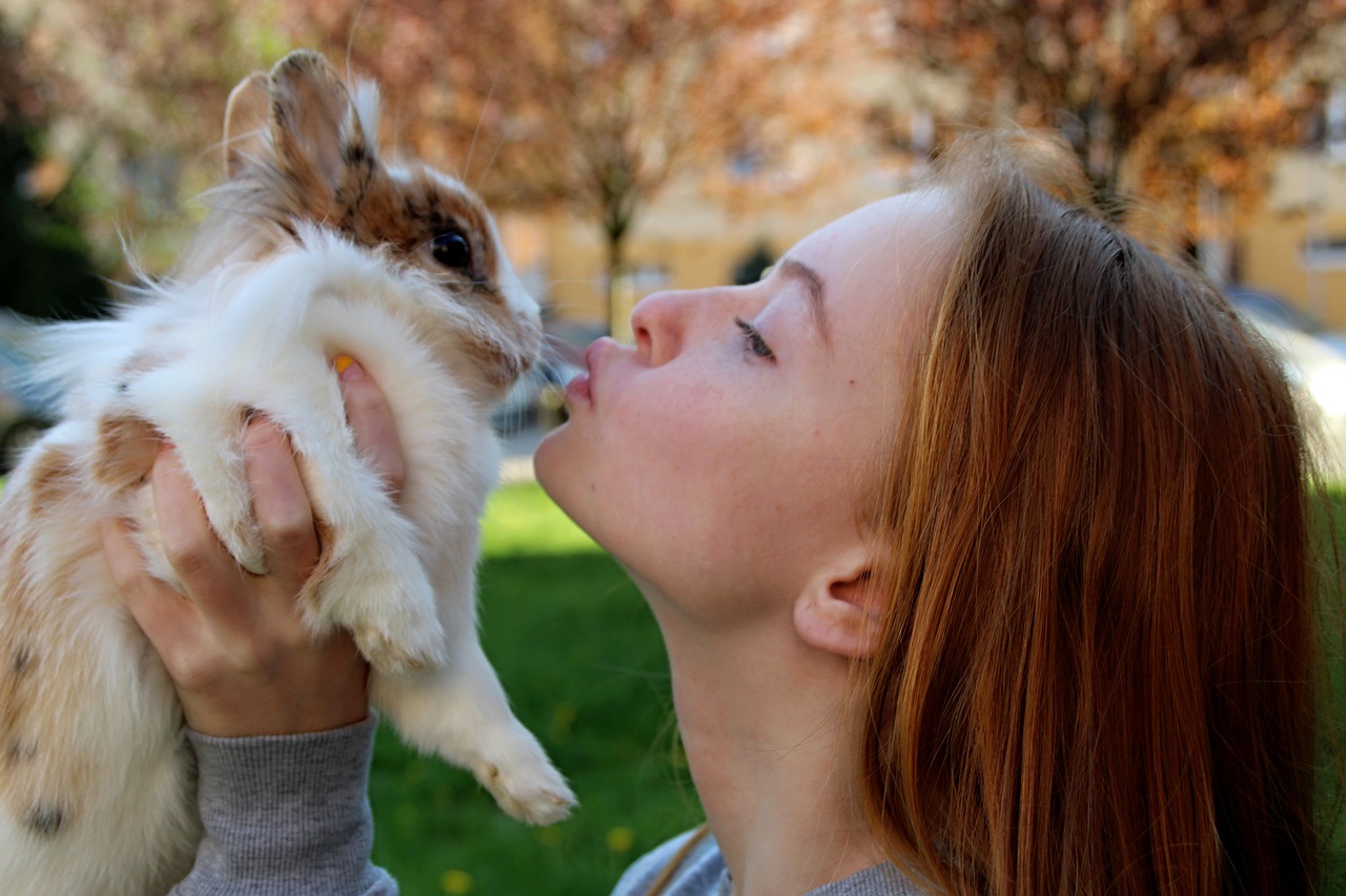 lady and the rabbit  outdoors free pictures free photo