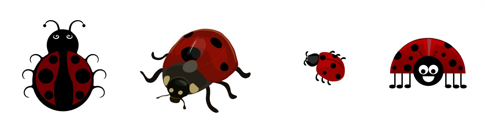 lady bugs bugs vector free photo