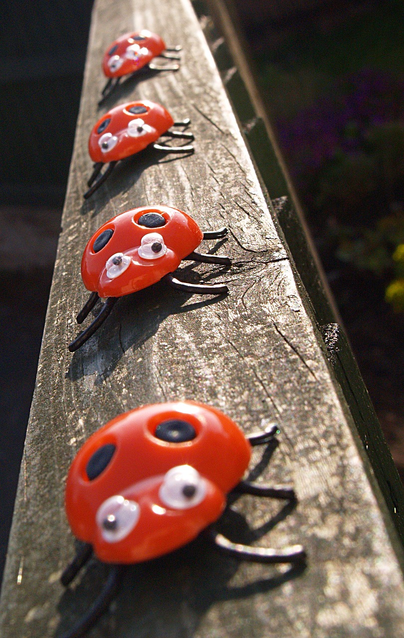 ladybirds fence toys free photo