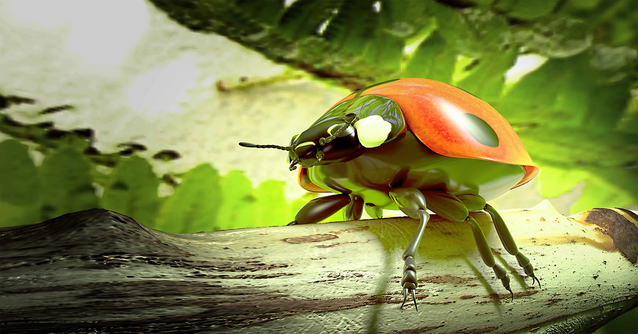 ladybug beetle lucky charm free photo