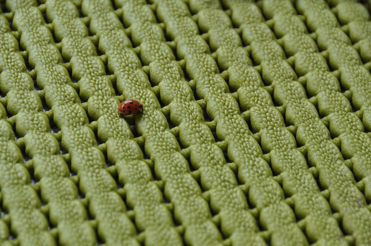 ladybug green pad free photo