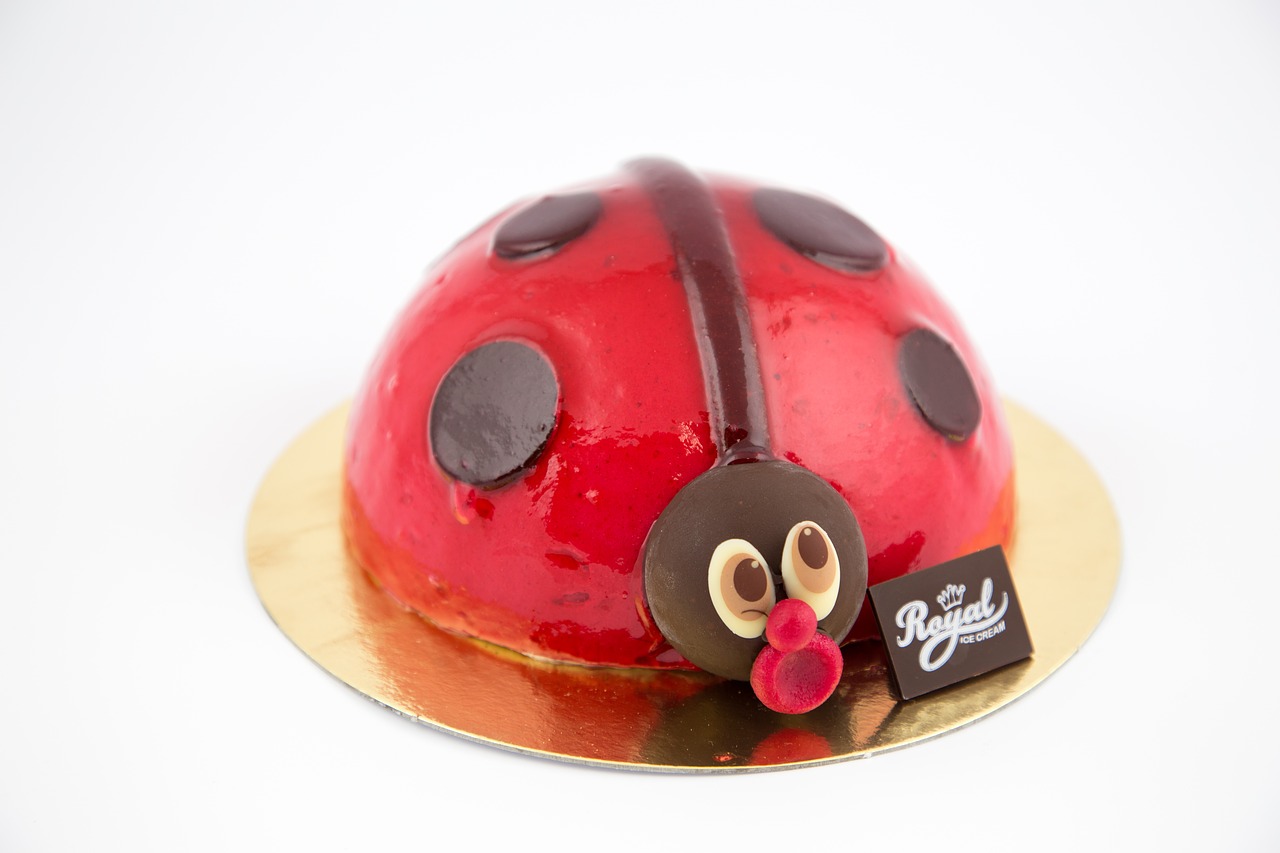 ladybug ice raspberry free photo